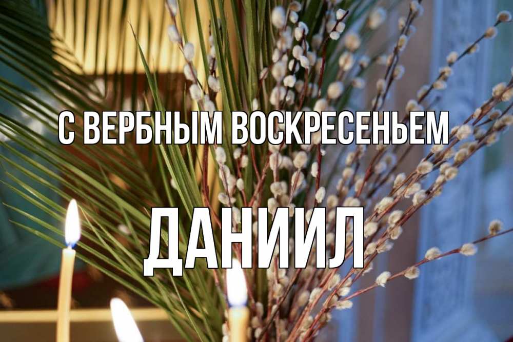 Открытка на каждый день с именем, Даниил С вербным воскресеньем верба Прикольная открытка с пожеланием онлайн скачать бесплатно 