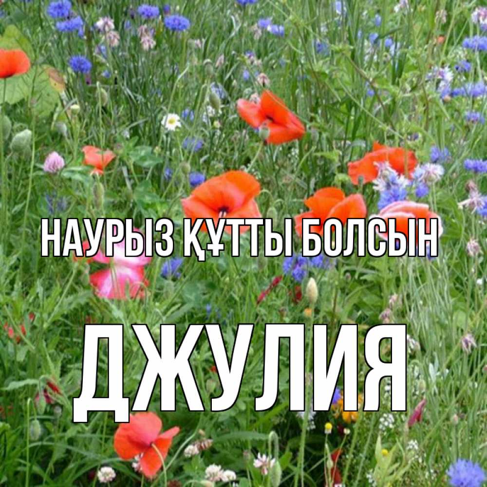 Открытка на каждый день с именем, Джулия Наурыз құтты болсын наурыз  4 Прикольная открытка с пожеланием онлайн скачать бесплатно 