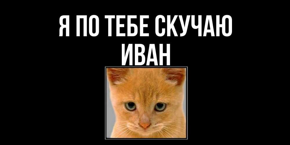 Открытка на каждый день с именем, Иван Я по тебе скучаю открытки рыжий котенок скучает по тебе Прикольная открытка с пожеланием онлайн скачать бесплатно 