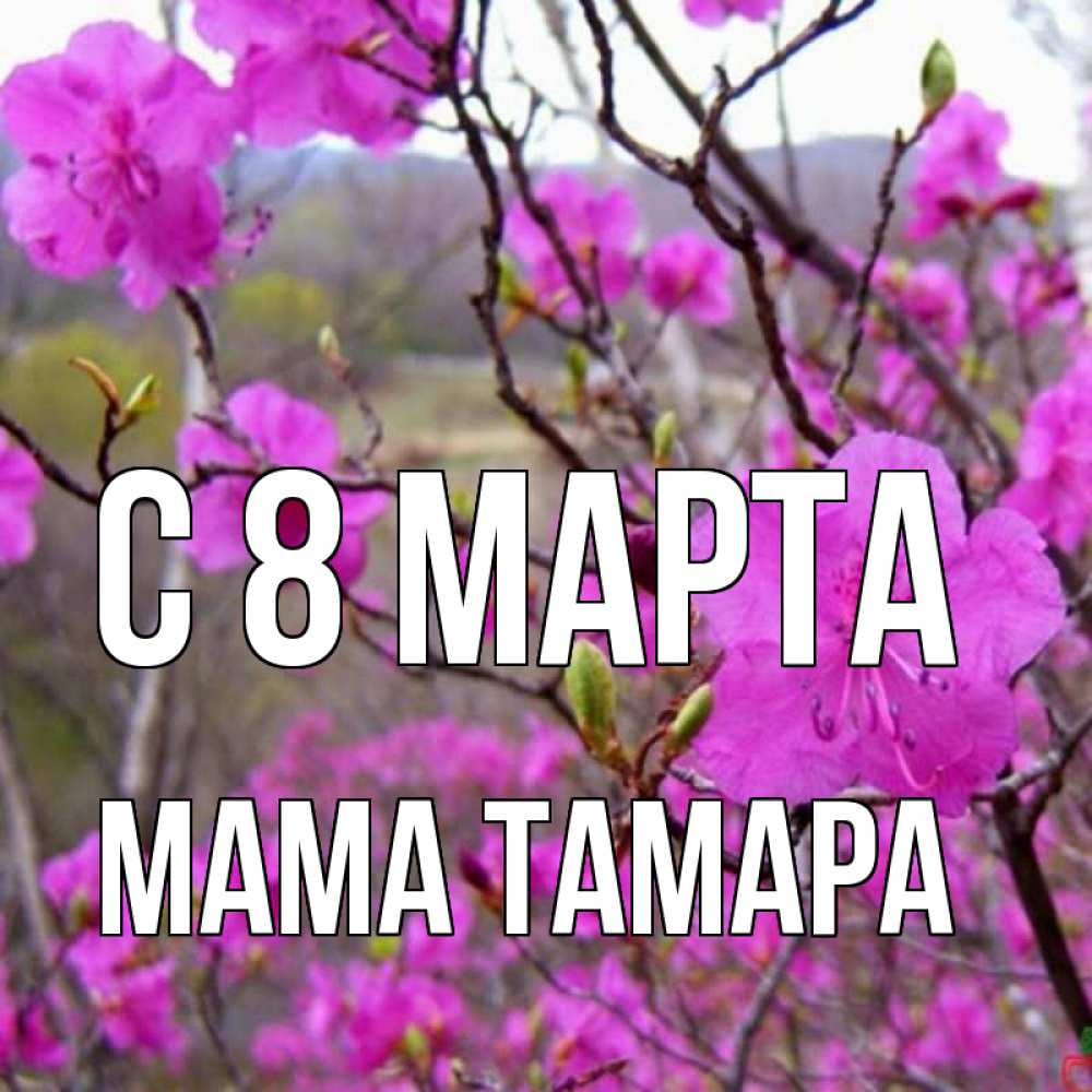Открытка на каждый день с именем, Мама-Тамара С 8 марта международный женский день Прикольная открытка с пожеланием онлайн скачать бесплатно 