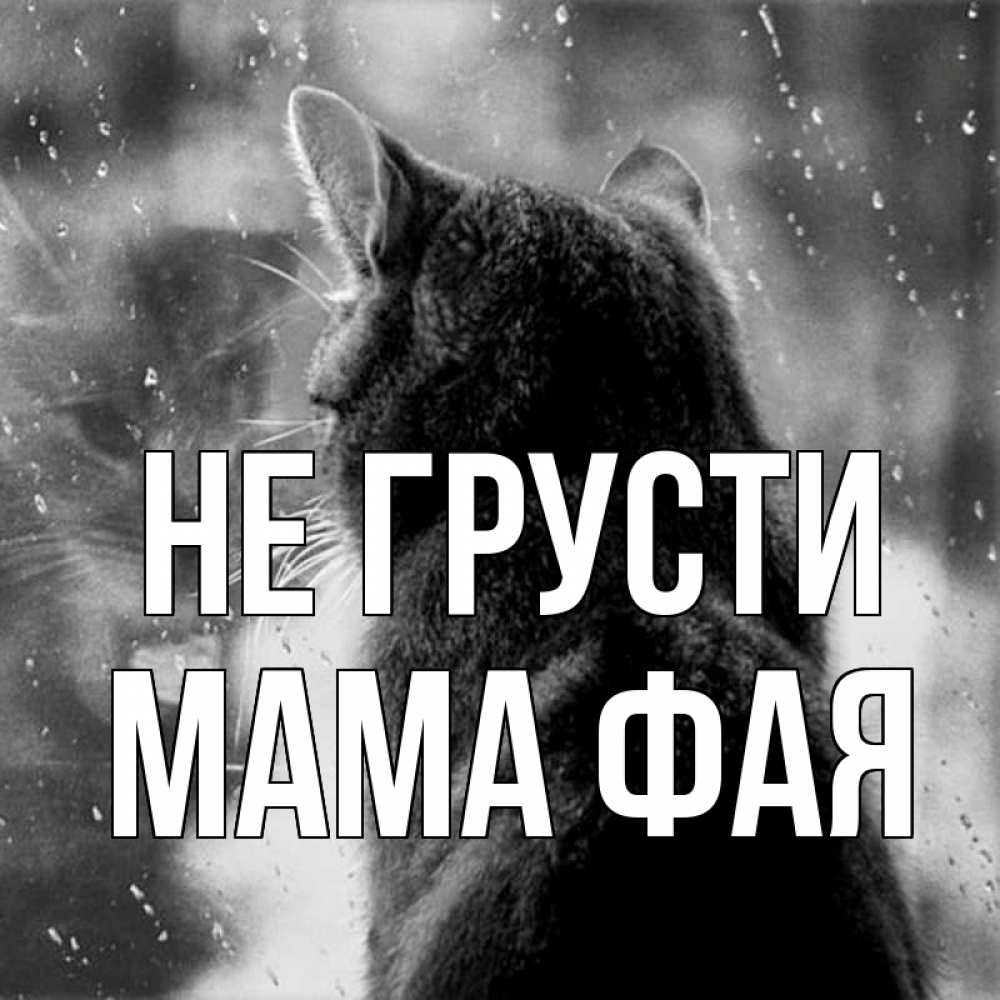 Открытка на каждый день с именем, Мама-Фая Не грусти отражение кота 1 Прикольная открытка с пожеланием онлайн скачать бесплатно 