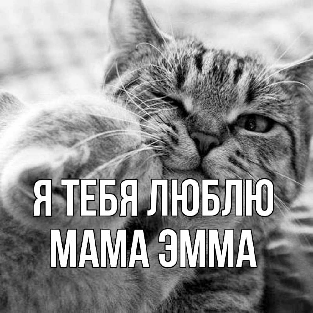 Открытка на каждый день с именем, Мама-Эмма Я тебя люблю коты Прикольная открытка с пожеланием онлайн скачать бесплатно 