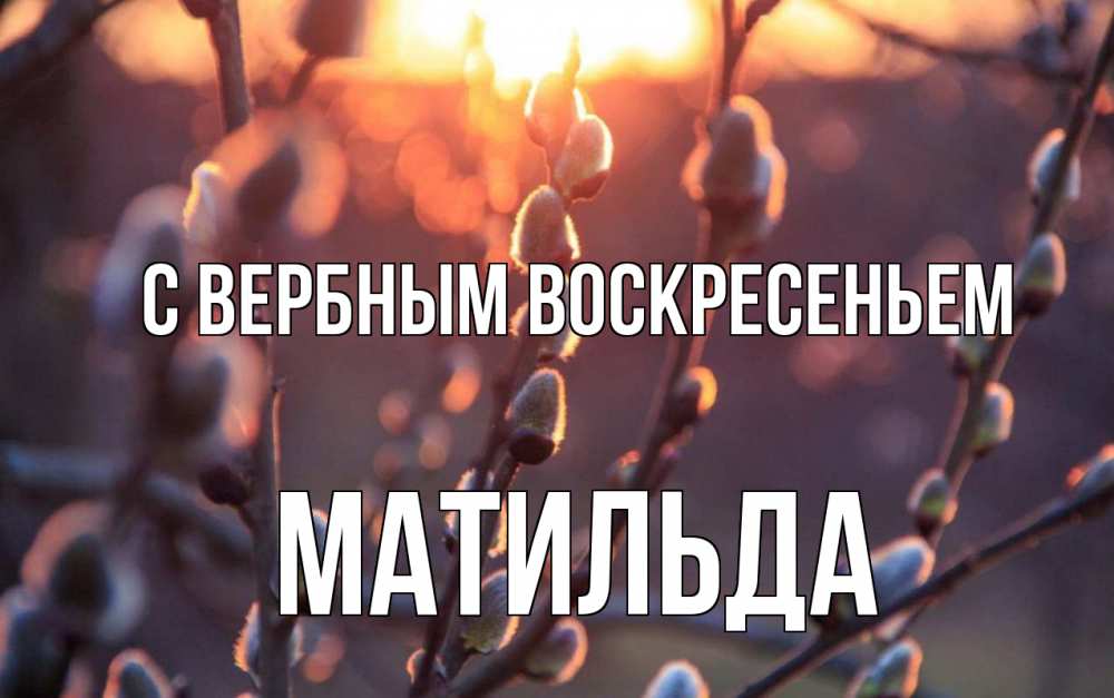 Открытка на каждый день с именем, Матильда С вербным воскресеньем верба Прикольная открытка с пожеланием онлайн скачать бесплатно 