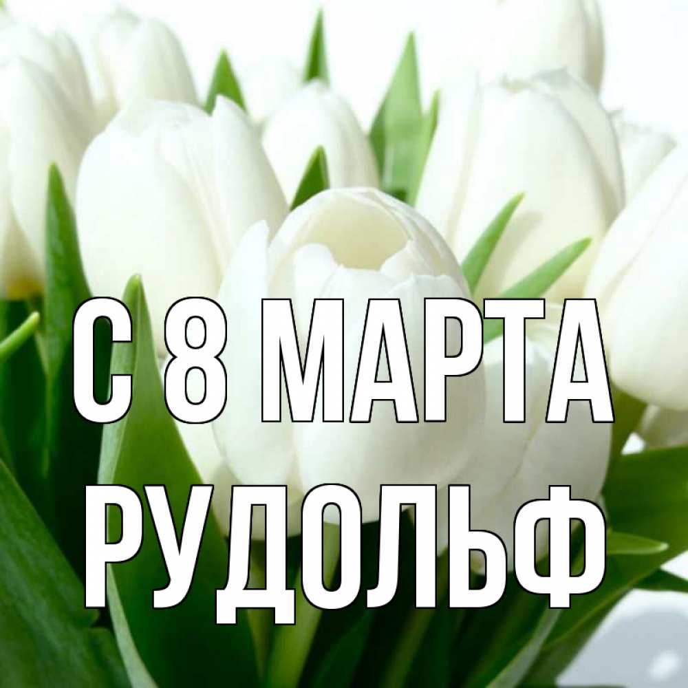 Открытка на каждый день с именем, Рудольф С 8 МАРТА цветы Прикольная открытка с пожеланием онлайн скачать бесплатно 