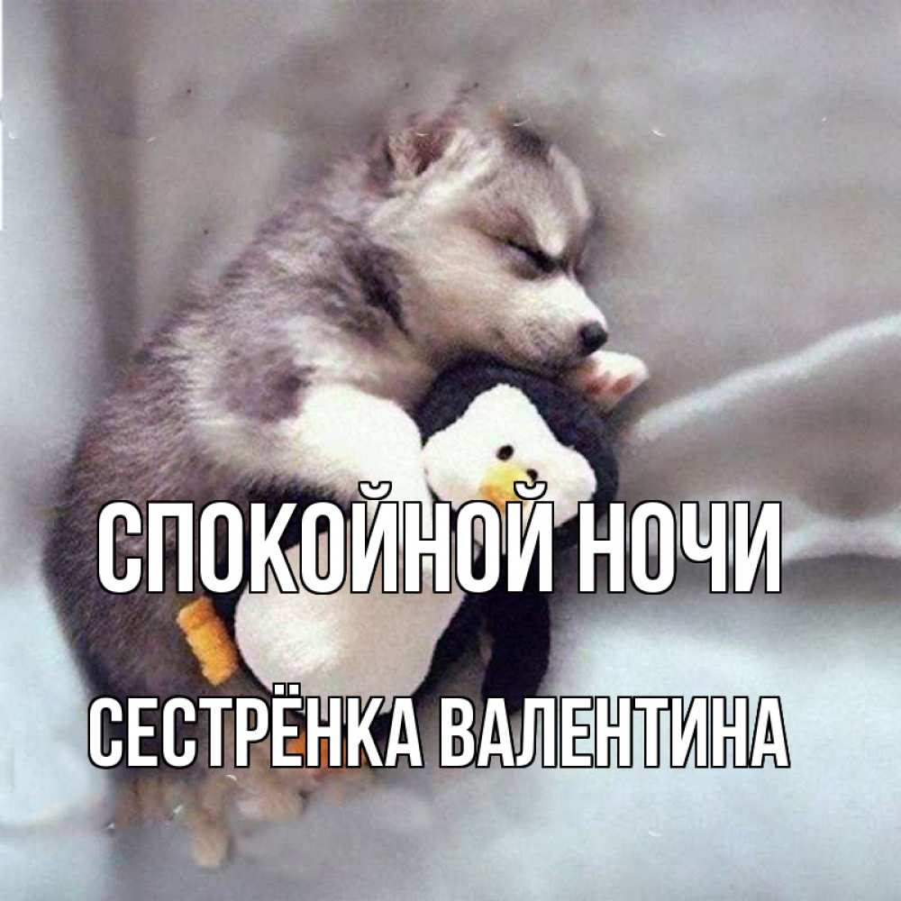 Открытка на каждый день с именем, Сестрёнка-Валентина Спокойной ночи обнимашки щенка и пингвина Прикольная открытка с пожеланием онлайн скачать бесплатно 