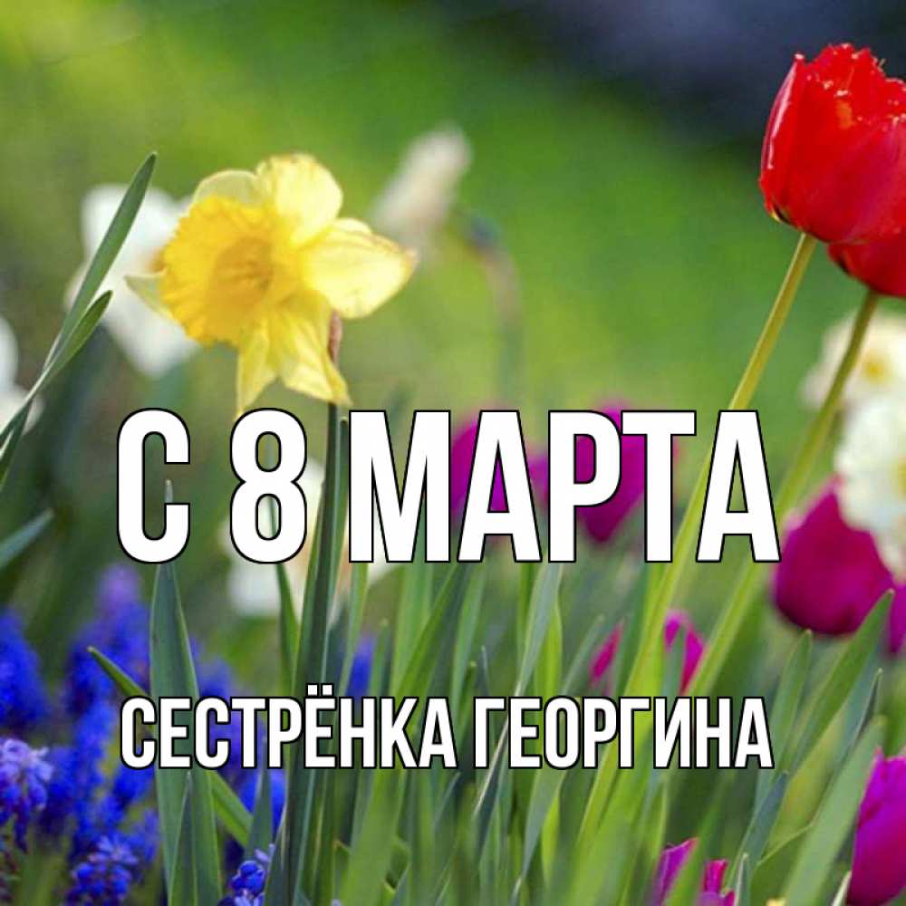 Открытка на каждый день с именем, Сестрёнка-Георгина С 8 МАРТА международный женский день 3 Прикольная открытка с пожеланием онлайн скачать бесплатно 