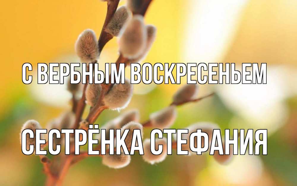 Открытка на каждый день с именем, Сестрёнка-Стефания С вербным воскресеньем верба Прикольная открытка с пожеланием онлайн скачать бесплатно 