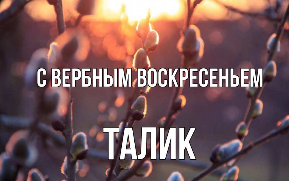 Открытка на каждый день с именем, Талик С вербным воскресеньем верба Прикольная открытка с пожеланием онлайн скачать бесплатно 