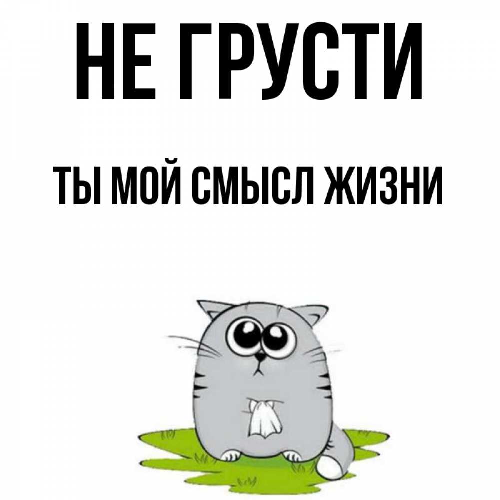 Открытка на каждый день с именем, Ты-мой-смысл-жизни Не грусти грустный котяра Прикольная открытка с пожеланием онлайн скачать бесплатно 