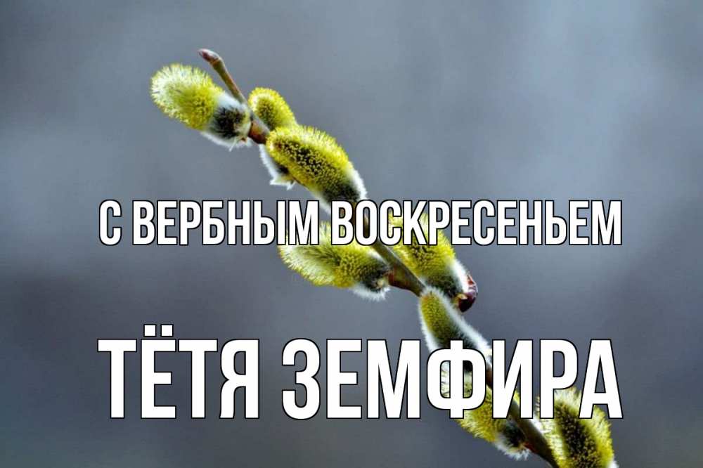 Открытка на каждый день с именем, Тётя-Земфира С вербным воскресеньем верба Прикольная открытка с пожеланием онлайн скачать бесплатно 