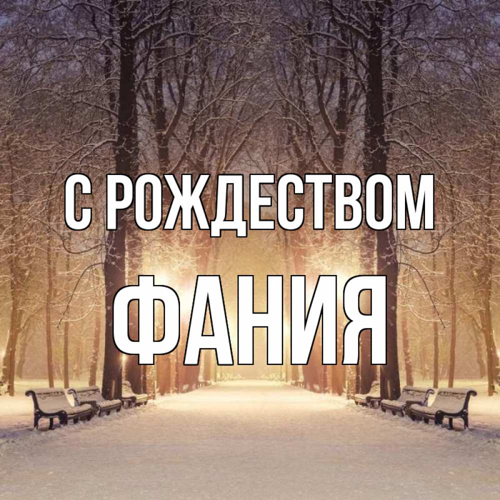 Открытка на каждый день с именем, Фания С рождеством зима, парк, фонарь, лес Прикольная открытка с пожеланием онлайн скачать бесплатно 