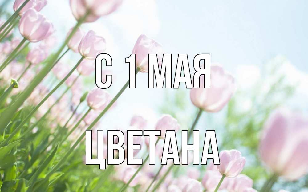 Открытка на каждый день с именем, Цветана С 1 мая С 1 мая Прикольная открытка с пожеланием онлайн скачать бесплатно 