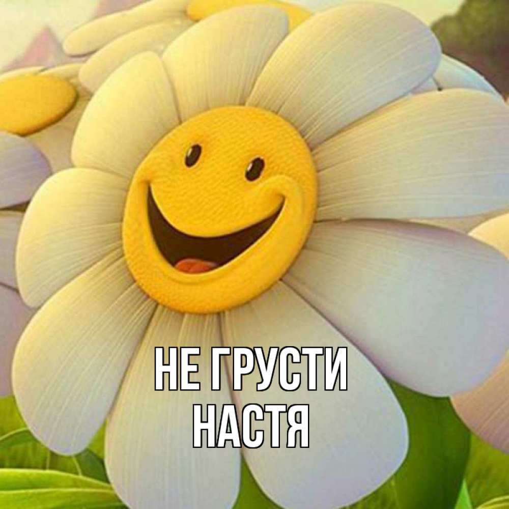 Открытка на каждый день с именем, настя Не грусти огромная улыбающаяся ромашуща Прикольная открытка с пожеланием онлайн скачать бесплатно 