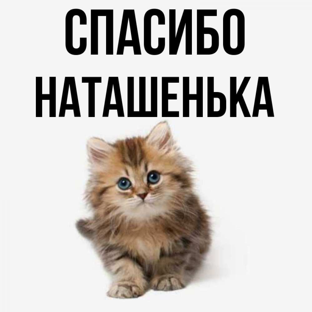 Спасибо наташенька картинки красивые