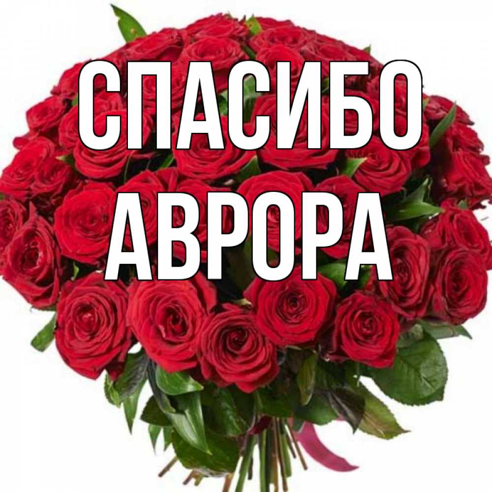 Открытка на каждый день с именем, Аврора Спасибо букет красных роз Прикольная открытка с пожеланием онлайн скачать бесплатно 