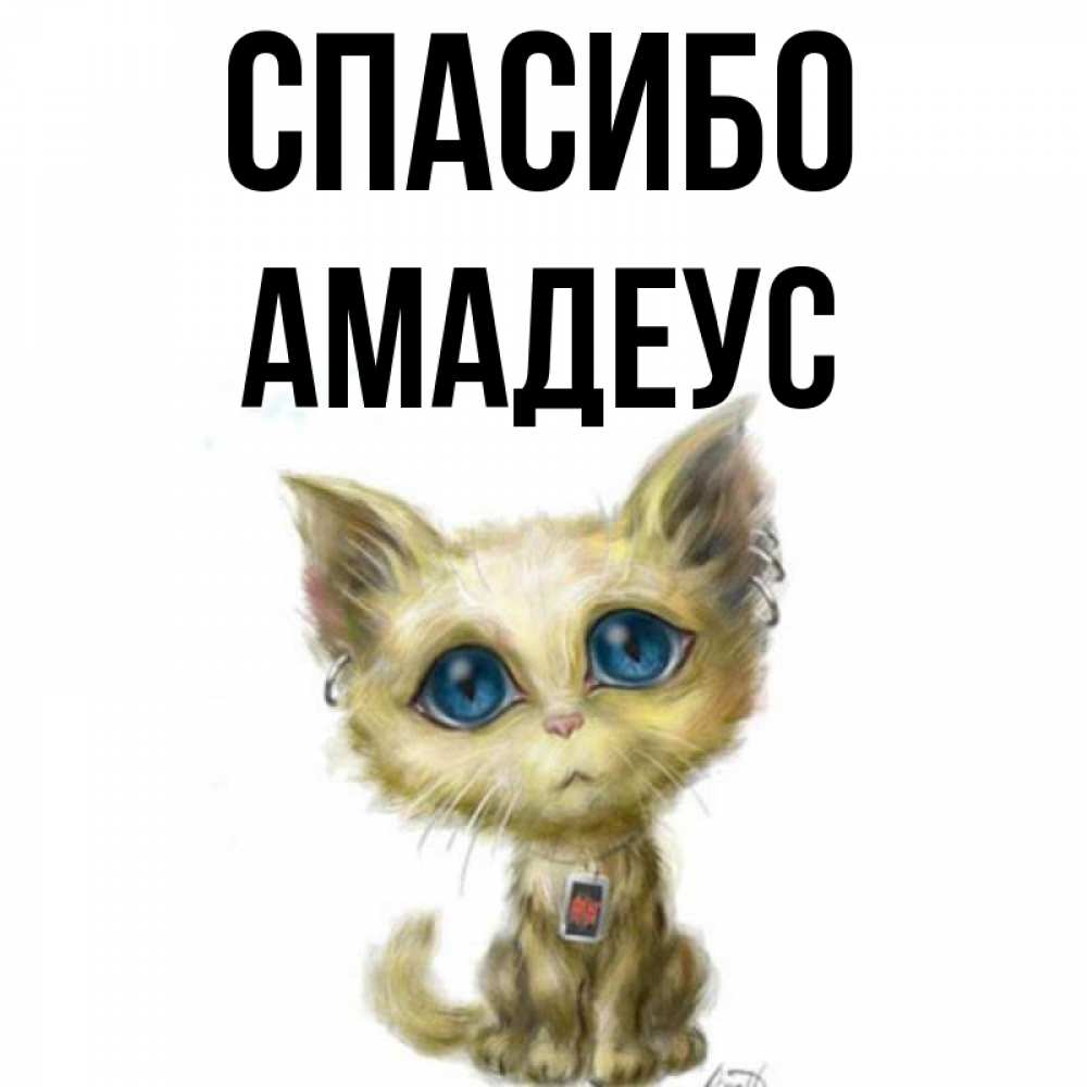 Открытка на каждый день с именем, Амадеус Спасибо рисованный кот благодарит вас Прикольная открытка с пожеланием онлайн скачать бесплатно 