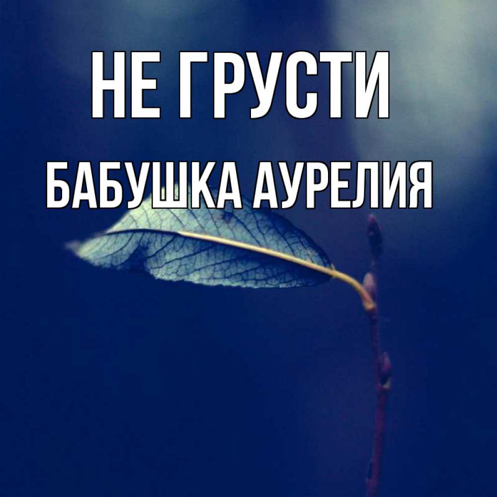Открытка на каждый день с именем, Бабушка-Аурелия Не грусти растение Прикольная открытка с пожеланием онлайн скачать бесплатно 