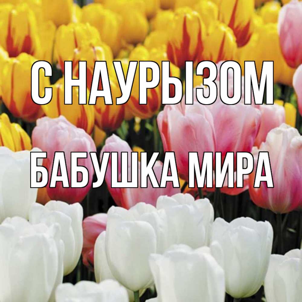 Открытка на каждый день с именем, Бабушка-Мира С наурызом разноцветные цветы Прикольная открытка с пожеланием онлайн скачать бесплатно 