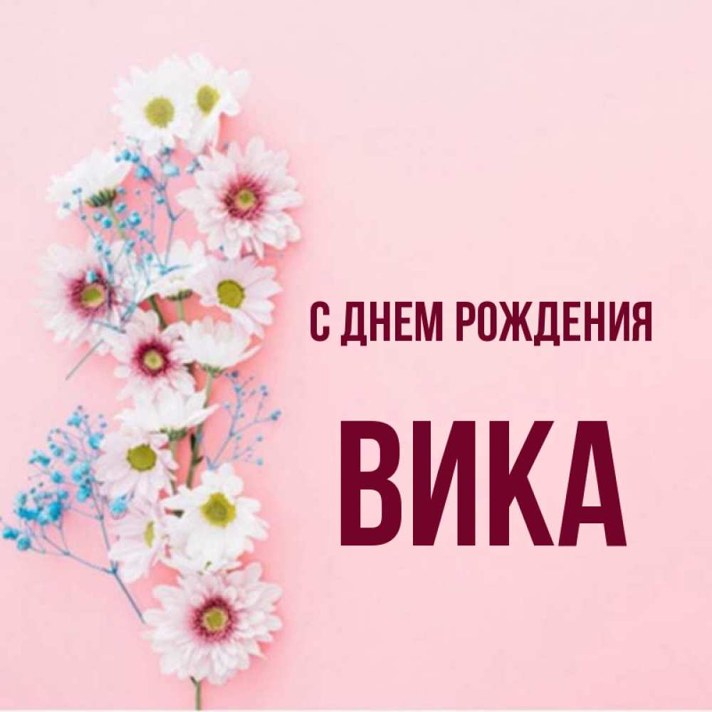Открытка на каждый день с именем, Вика С днем рождения Родная моя с днем рождения тебя картинка с цветами белыми и голубыми Прикольная открытка с пожеланием онлайн скачать бесплатно 