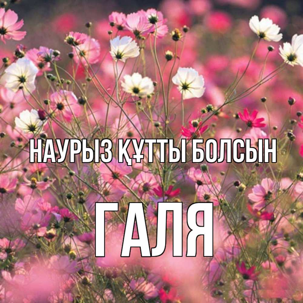 Картинка Наурыз құтты болсын, Галя