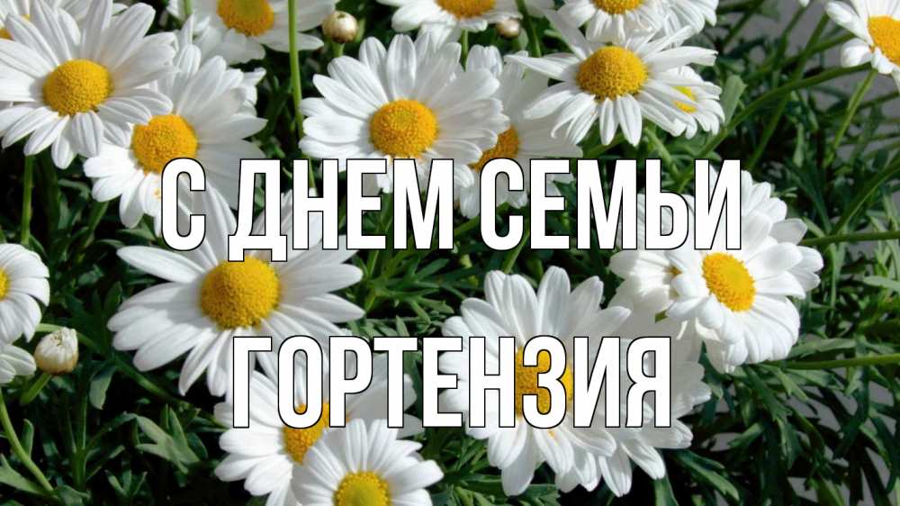 Открытка на каждый день с именем, Гортензия С днем семьи с днем семьи Прикольная открытка с пожеланием онлайн скачать бесплатно 