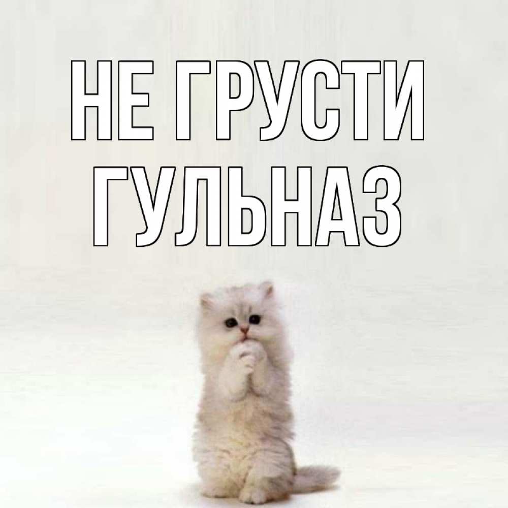 Открытка на каждый день с именем, Гульназ Не грусти грустный кот Прикольная открытка с пожеланием онлайн скачать бесплатно 
