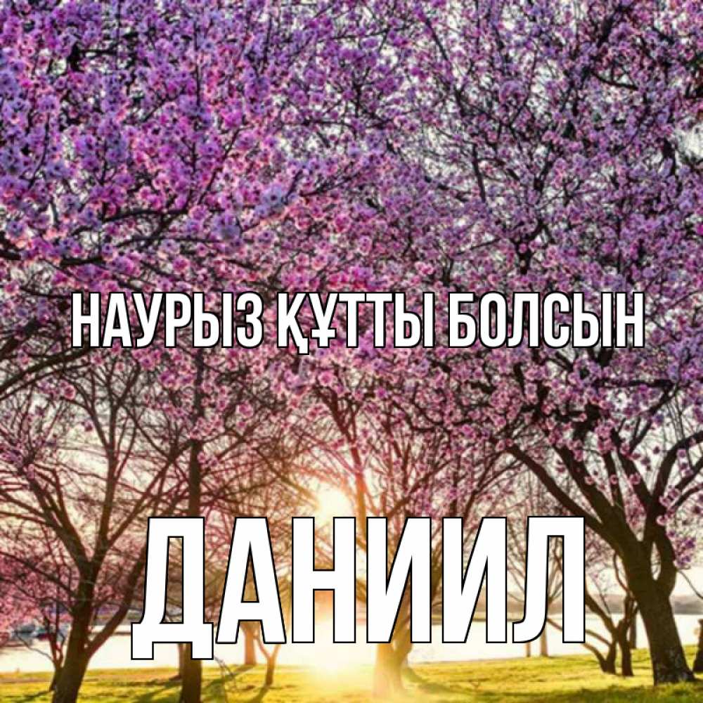 Открытка на каждый день с именем, Даниил Наурыз құтты болсын наурыз Прикольная открытка с пожеланием онлайн скачать бесплатно 