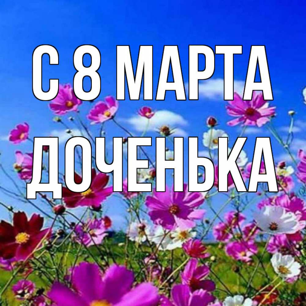Открытка на каждый день с именем, Доченька С 8 марта цветы Прикольная открытка с пожеланием онлайн скачать бесплатно 