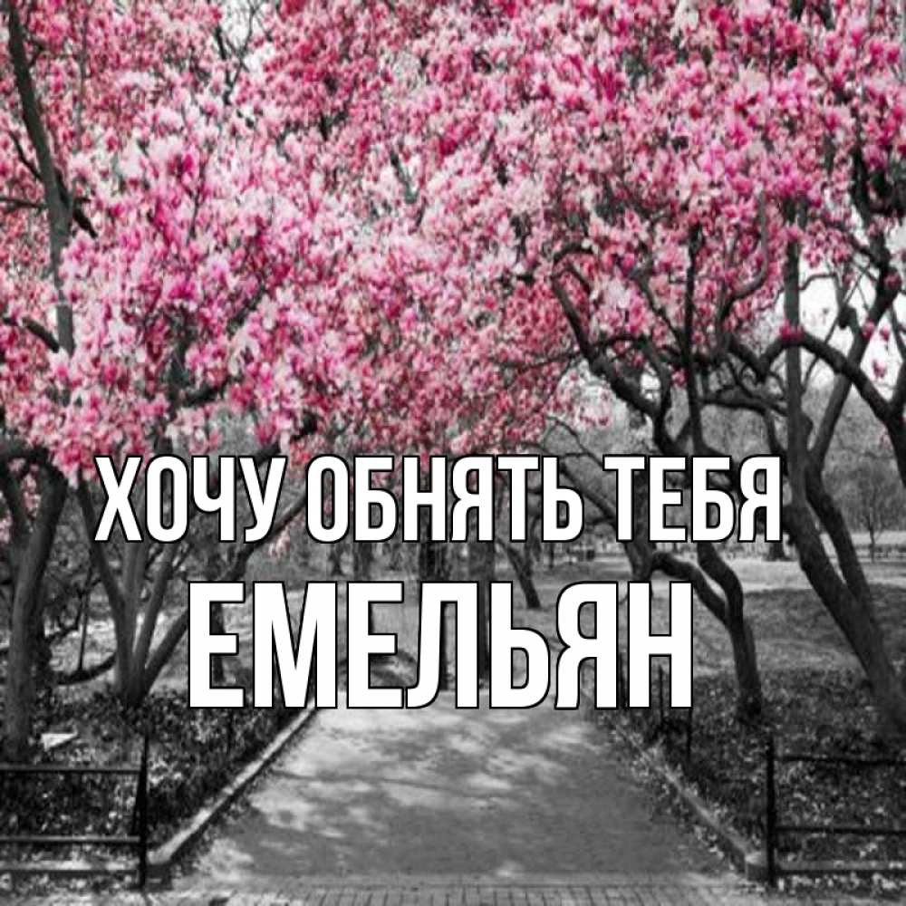 Открытка на каждый день с именем, Емельян Хочу обнять тебя обработанное фото Прикольная открытка с пожеланием онлайн скачать бесплатно 