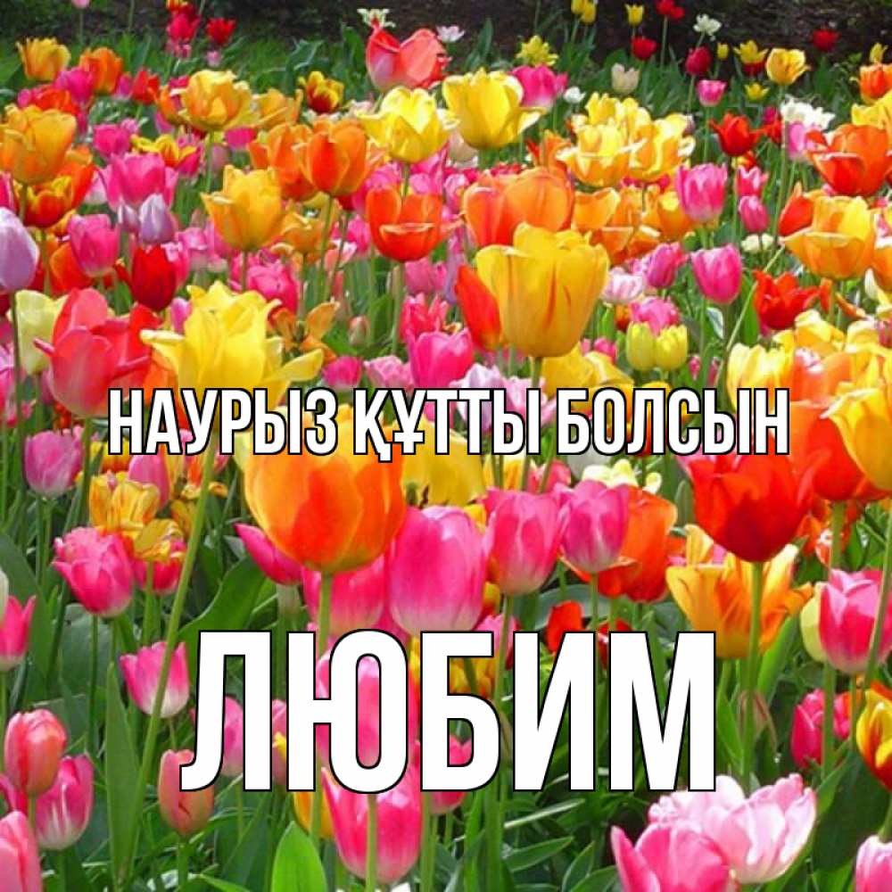 Открытка на каждый день с именем, Любим Наурыз құтты болсын на наурыз  ура ура Прикольная открытка с пожеланием онлайн скачать бесплатно 