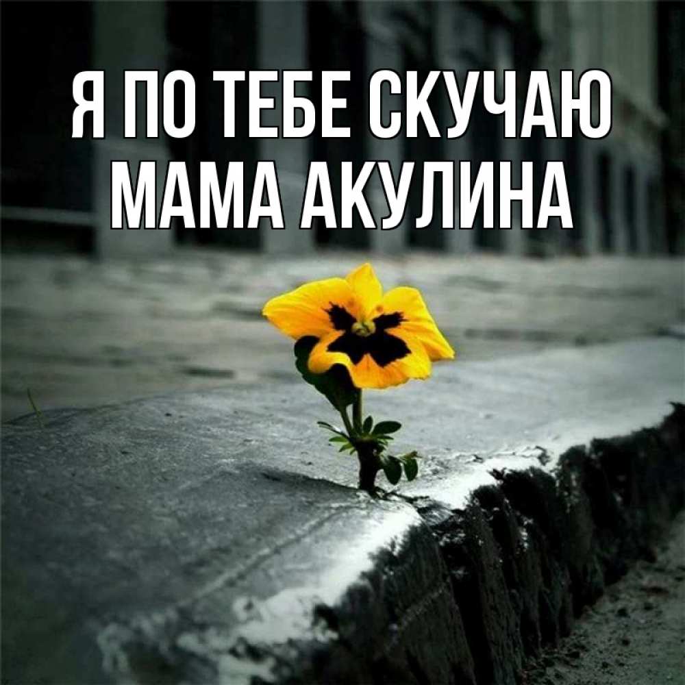 Открытка на каждый день с именем, Мама-Акулина Я по тебе скучаю надеюсь будет лучше Прикольная открытка с пожеланием онлайн скачать бесплатно 