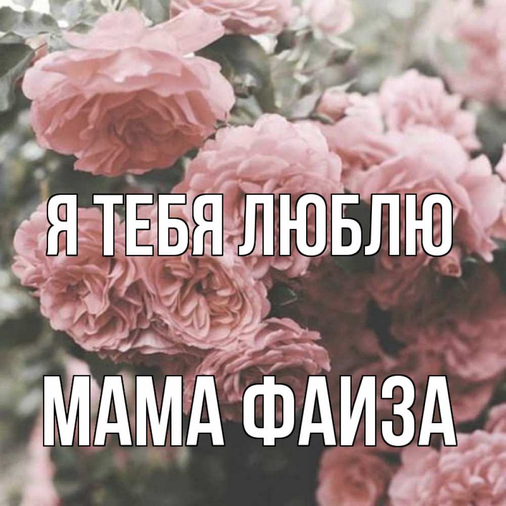 Открытка на каждый день с именем, Мама-Фаиза Я тебя люблю розы 3 Прикольная открытка с пожеланием онлайн скачать бесплатно 