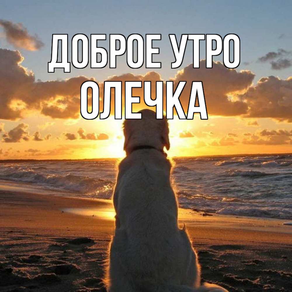 Открытка на каждый день с именем, Олечка Доброе утро восход солнца Прикольная открытка с пожеланием онлайн скачать бесплатно 