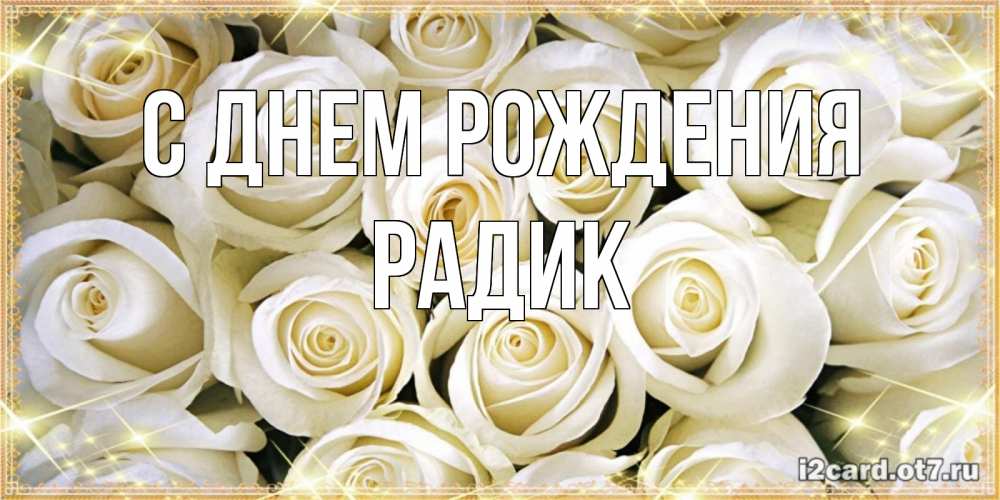Открытка на каждый день с именем, Радик С днем рождения открытка с белыми розами. большой букет белых роз Прикольная открытка с пожеланием онлайн скачать бесплатно 