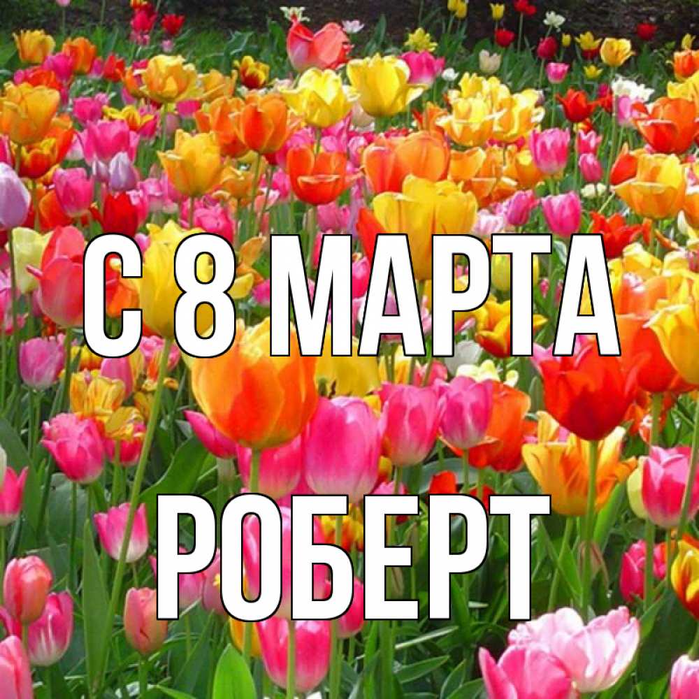 Открытка на каждый день с именем, Роберт С 8 марта на международный женский день Прикольная открытка с пожеланием онлайн скачать бесплатно 