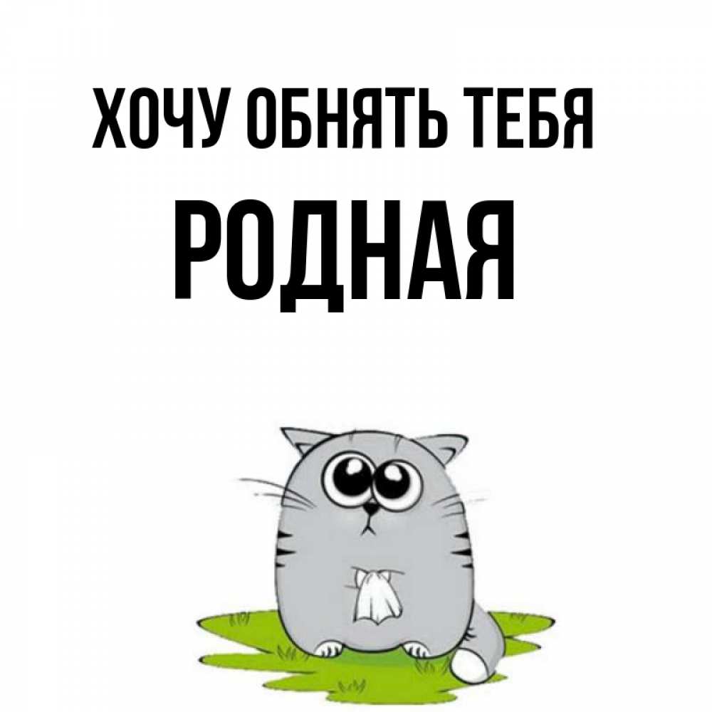 Открытка на каждый день с именем, Родная Хочу обнять тебя котик теребит платочек сидя на травке Прикольная открытка с пожеланием онлайн скачать бесплатно 