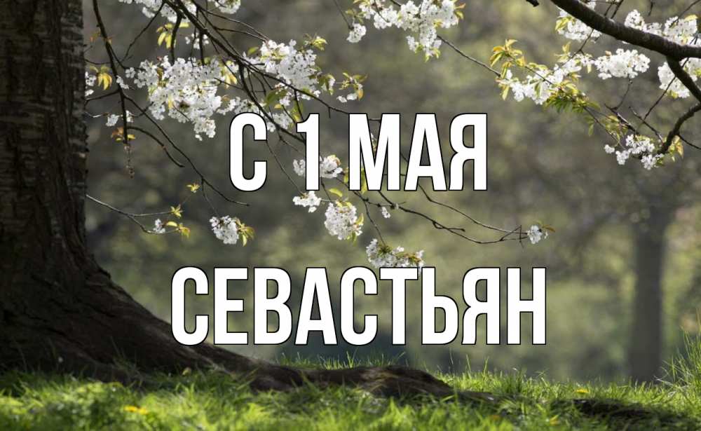 Открытка на каждый день с именем, Севастьян С 1 мая С 1 мая Прикольная открытка с пожеланием онлайн скачать бесплатно 