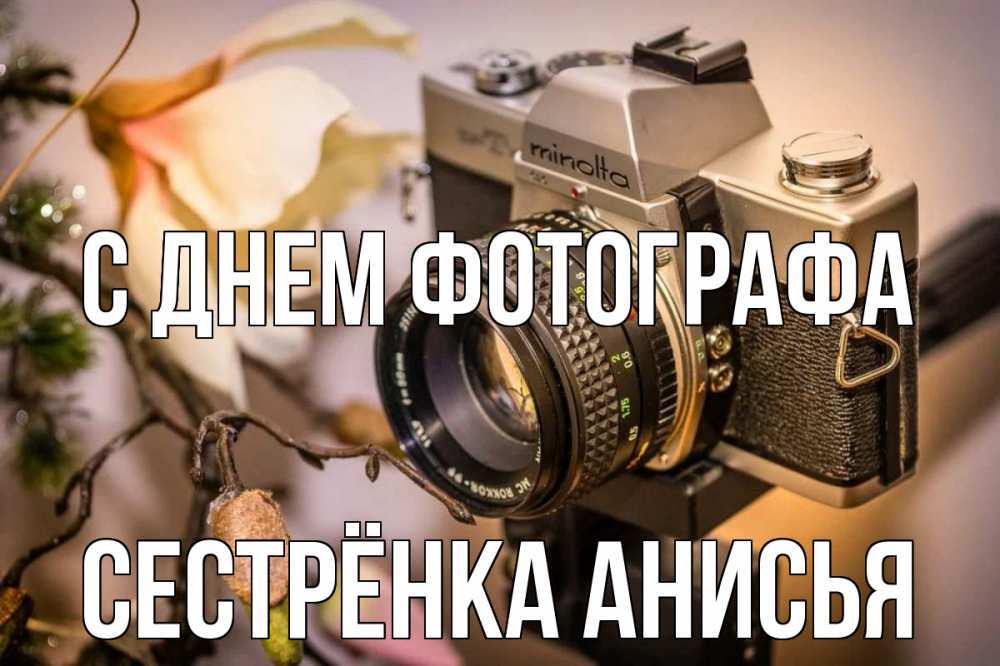 Открытка на каждый день с именем, Сестрёнка-Анисья С днем фотографа с днем фотографа 1 Прикольная открытка с пожеланием онлайн скачать бесплатно 