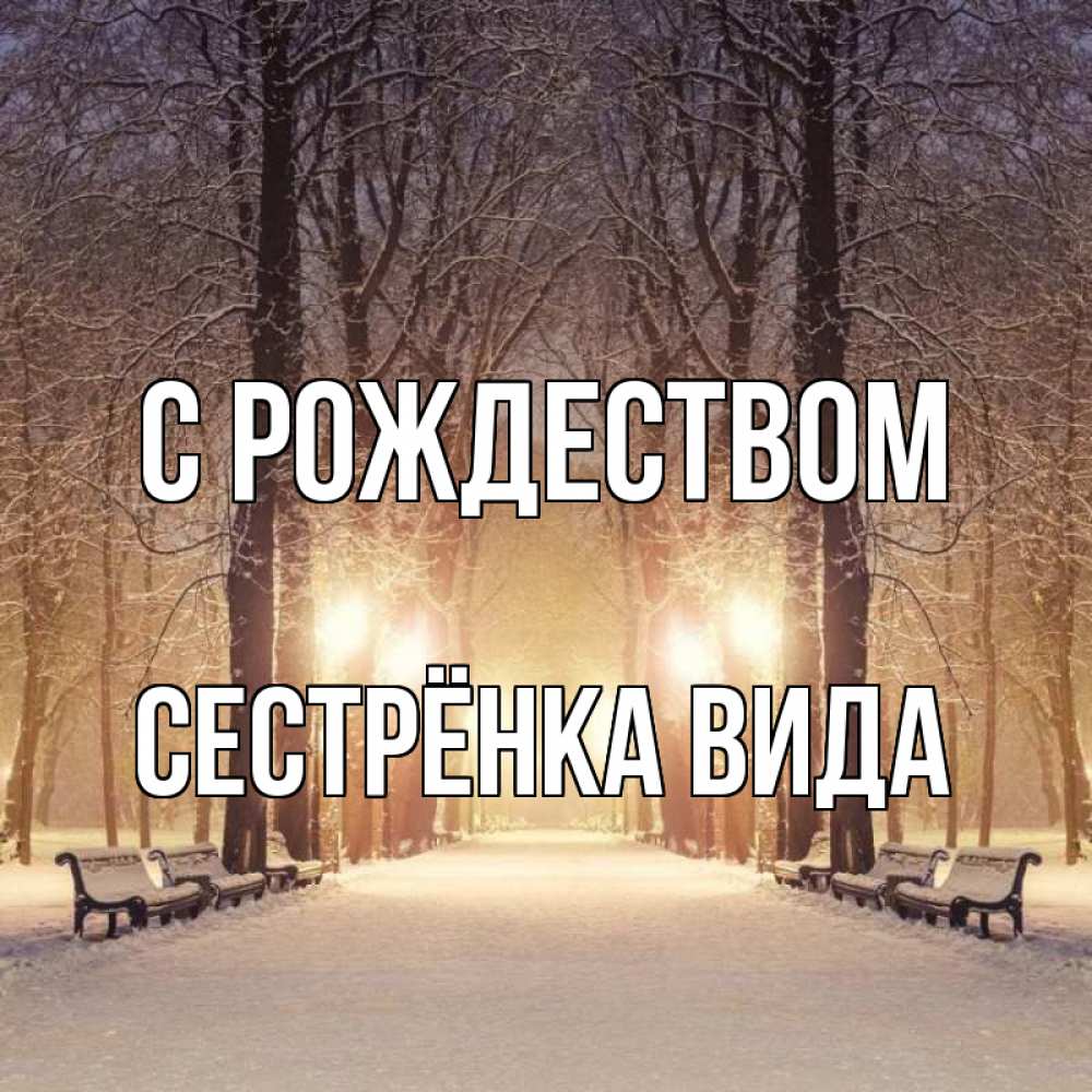 Открытка на каждый день с именем, Сестрёнка-Вида С рождеством зима, парк, фонарь, лес Прикольная открытка с пожеланием онлайн скачать бесплатно 