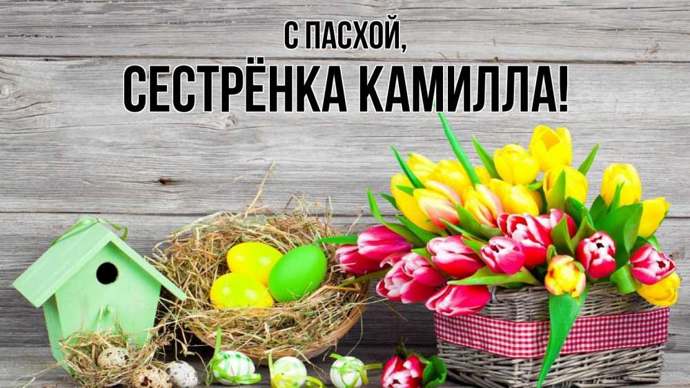 Открытка на каждый день с именем, Сестрёнка-Камилла С пасхой пасха Прикольная открытка с пожеланием онлайн скачать бесплатно 