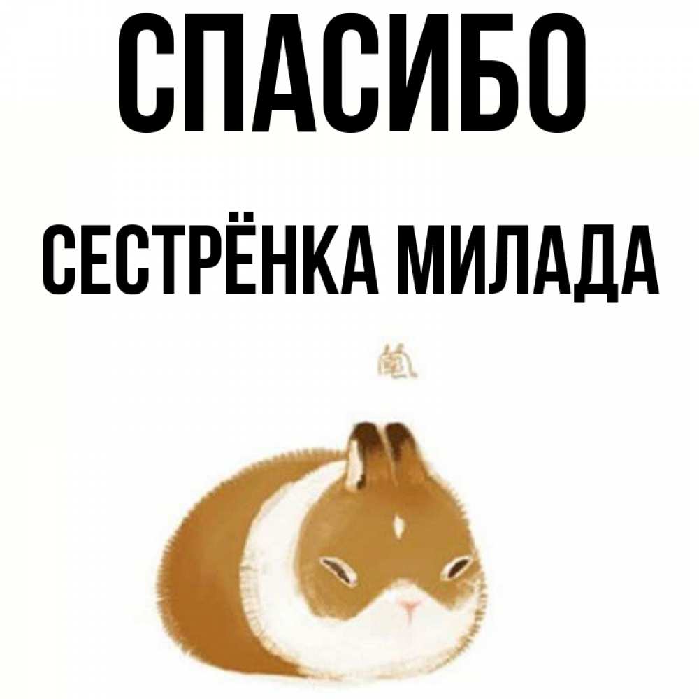 Открытка на каждый день с именем, Сестрёнка-Милада Спасибо коричнево белый домашний питомец Прикольная открытка с пожеланием онлайн скачать бесплатно 