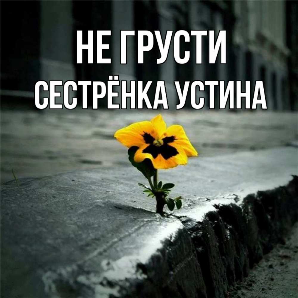 Открытка на каждый день с именем, Сестрёнка-Устина Не грусти не сдавайся Прикольная открытка с пожеланием онлайн скачать бесплатно 