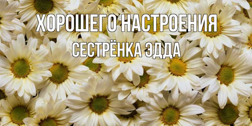 Открытка на каждый день с именем, Сестрёнка-Эдда Хорошего настроения крупные ромашки Прикольная открытка с пожеланием онлайн скачать бесплатно 