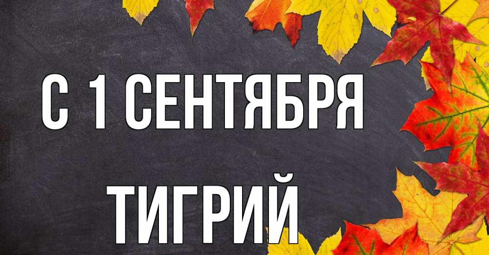 Открытка на каждый день с именем, Тигрий С 1 сентября с днем знаний Прикольная открытка с пожеланием онлайн скачать бесплатно 