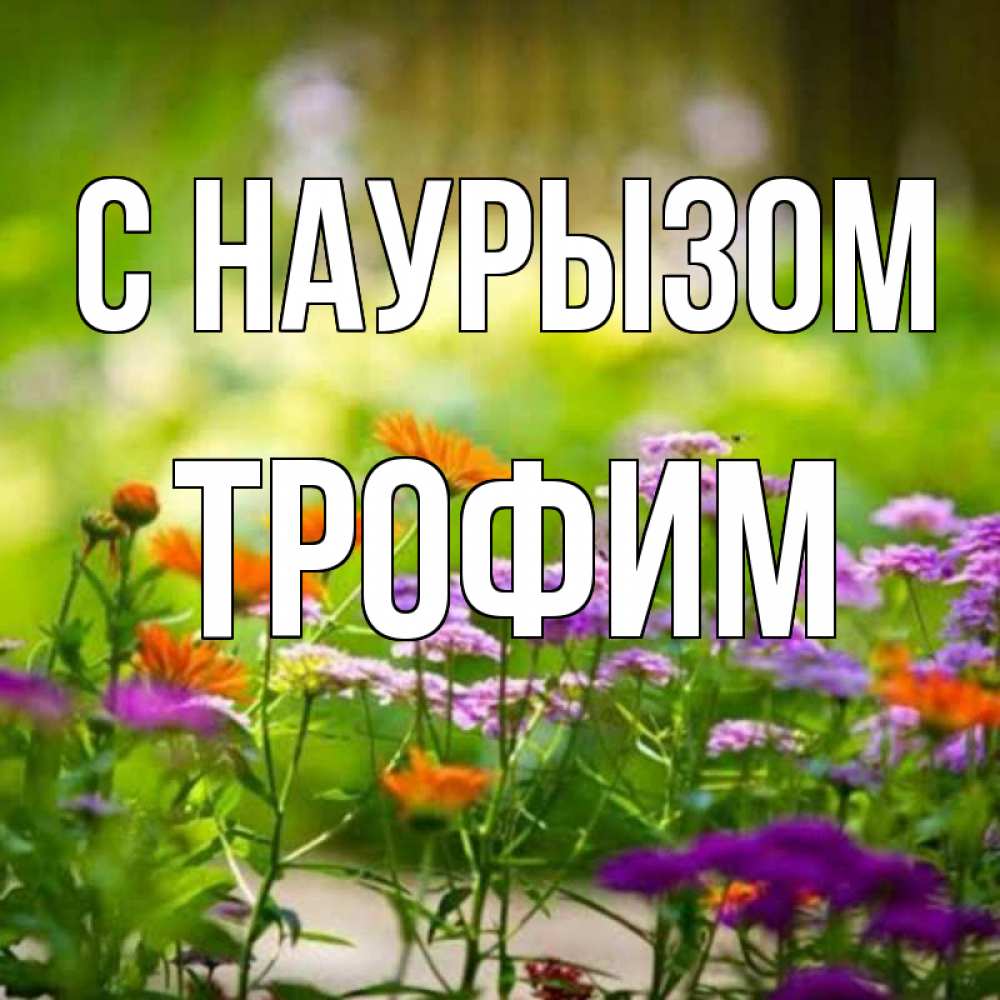 Открытка на каждый день с именем, Трофим С наурызом цветы Прикольная открытка с пожеланием онлайн скачать бесплатно 