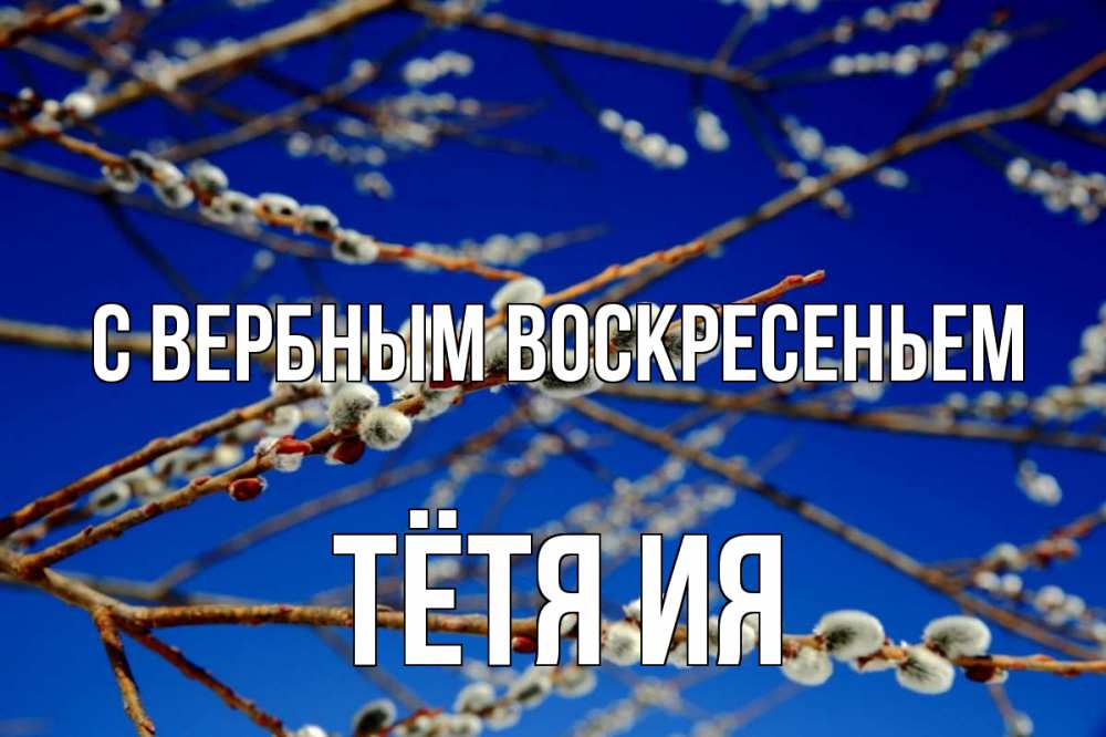 Открытка на каждый день с именем, Тётя-Ия С вербным воскресеньем верба Прикольная открытка с пожеланием онлайн скачать бесплатно 