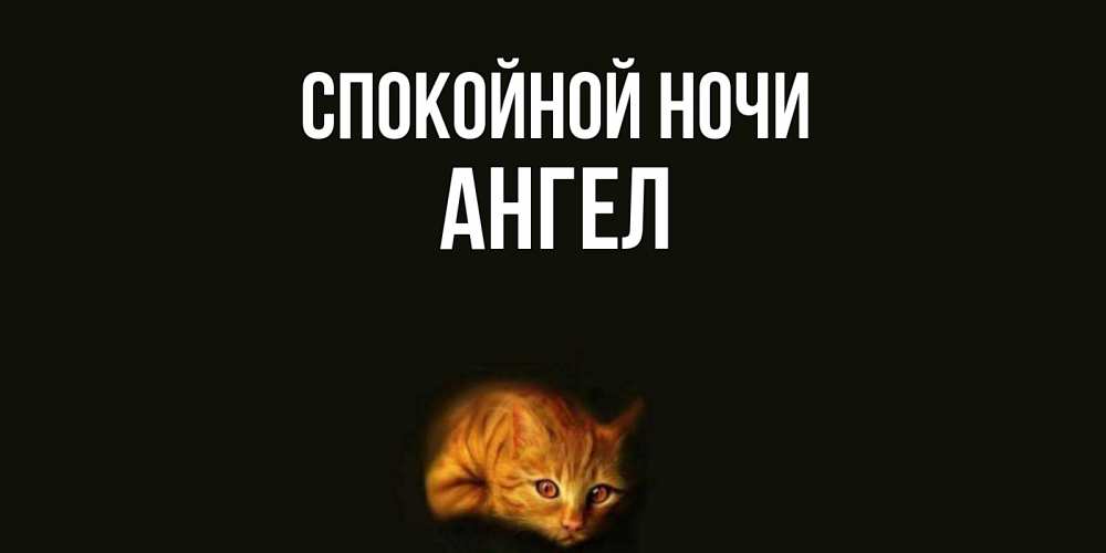 Открытка на каждый день с именем, ангел Спокойной ночи кот Прикольная открытка с пожеланием онлайн скачать бесплатно 