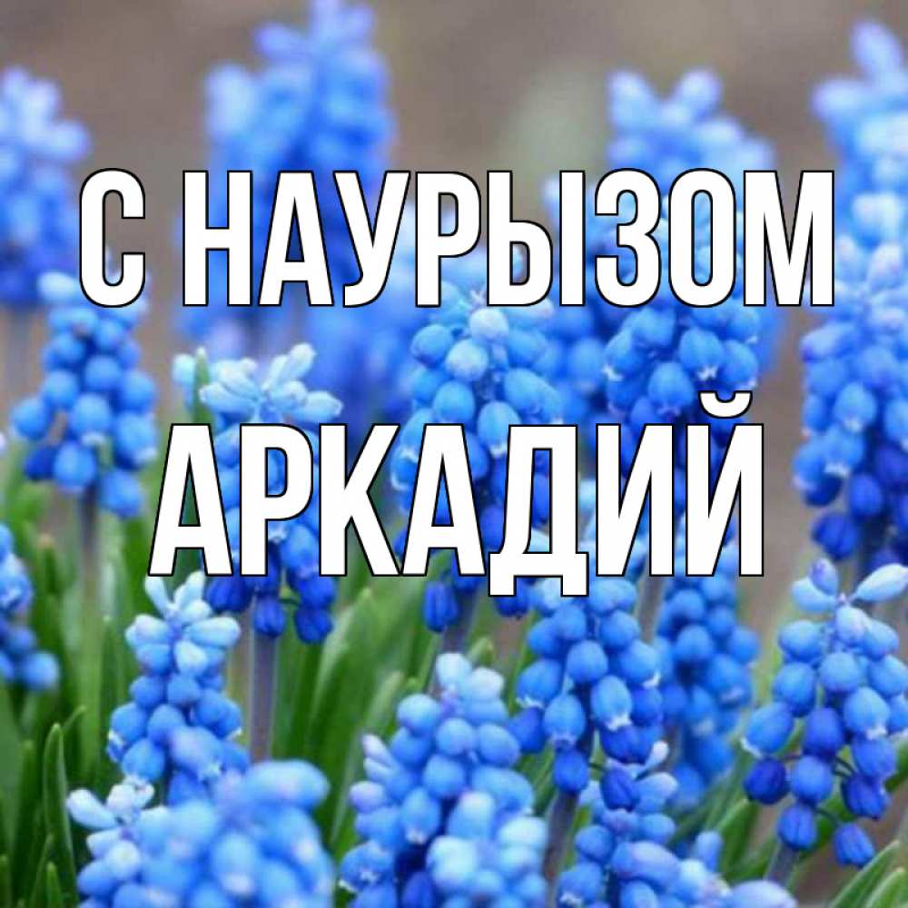 Открытка на каждый день с именем, Аркадий С наурызом Поздравительная открытка для женщин с цветами на праздничную дату Прикольная открытка с пожеланием онлайн скачать бесплатно 