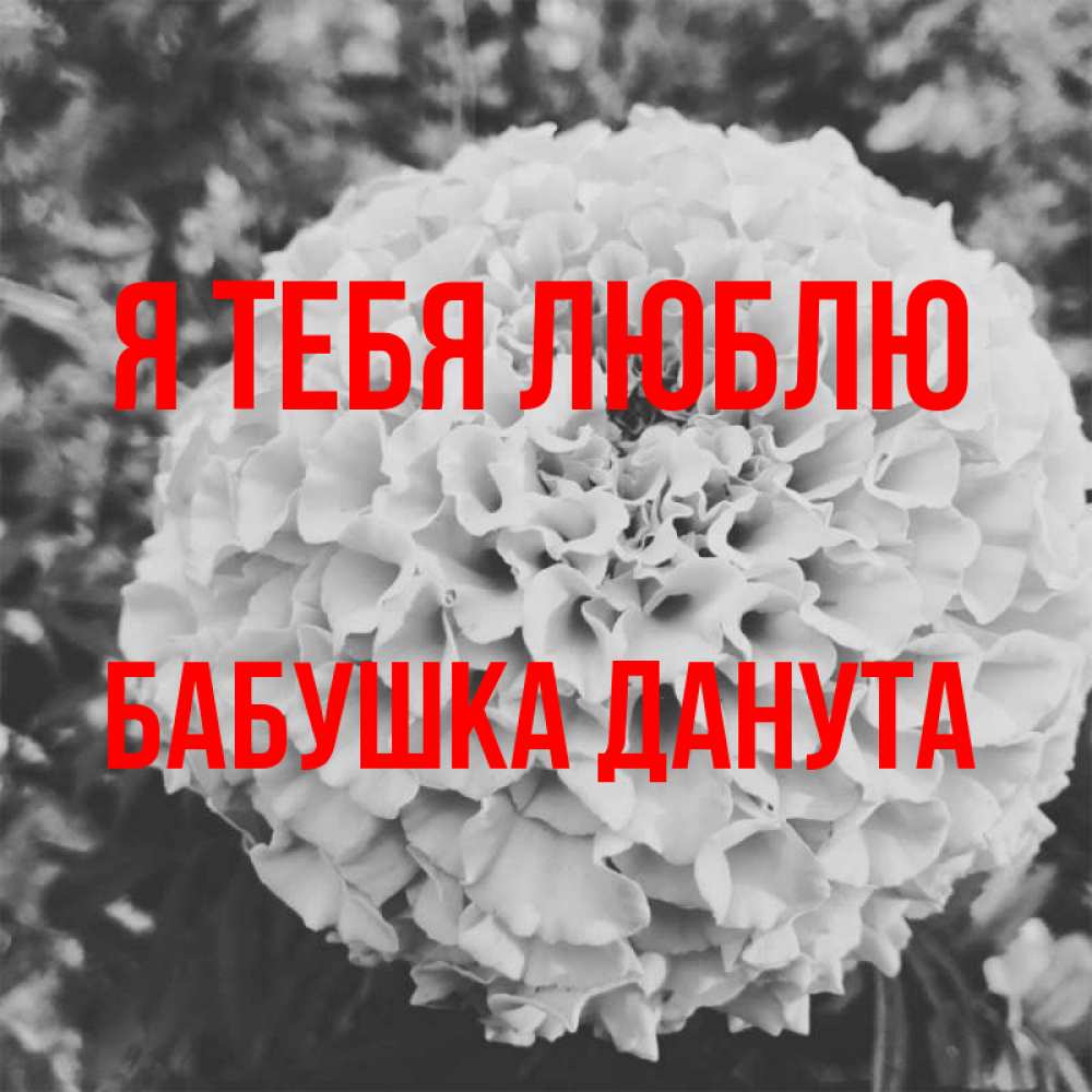 Открытка на каждый день с именем, Бабушка-Данута Я тебя люблю подпись Прикольная открытка с пожеланием онлайн скачать бесплатно 