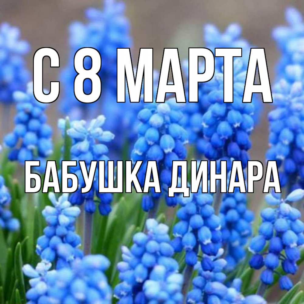 Открытка на каждый день с именем, Бабушка-Динара С 8 марта Поздравительная открытка для женщин с цветами на праздничную дату Прикольная открытка с пожеланием онлайн скачать бесплатно 